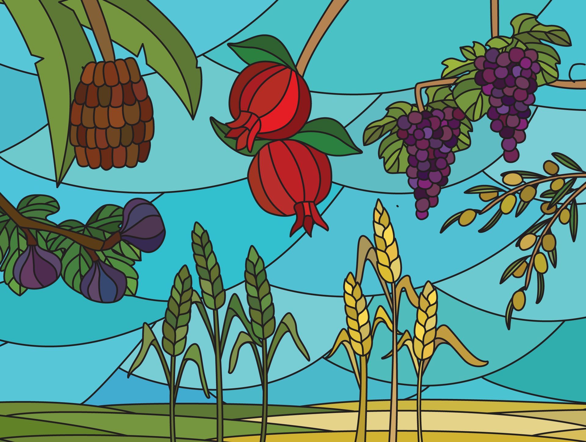 איור ויטראז'  7 המינים 