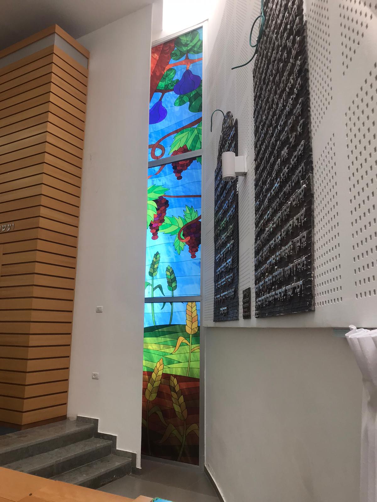 איור ויטראז' - 7 המינים