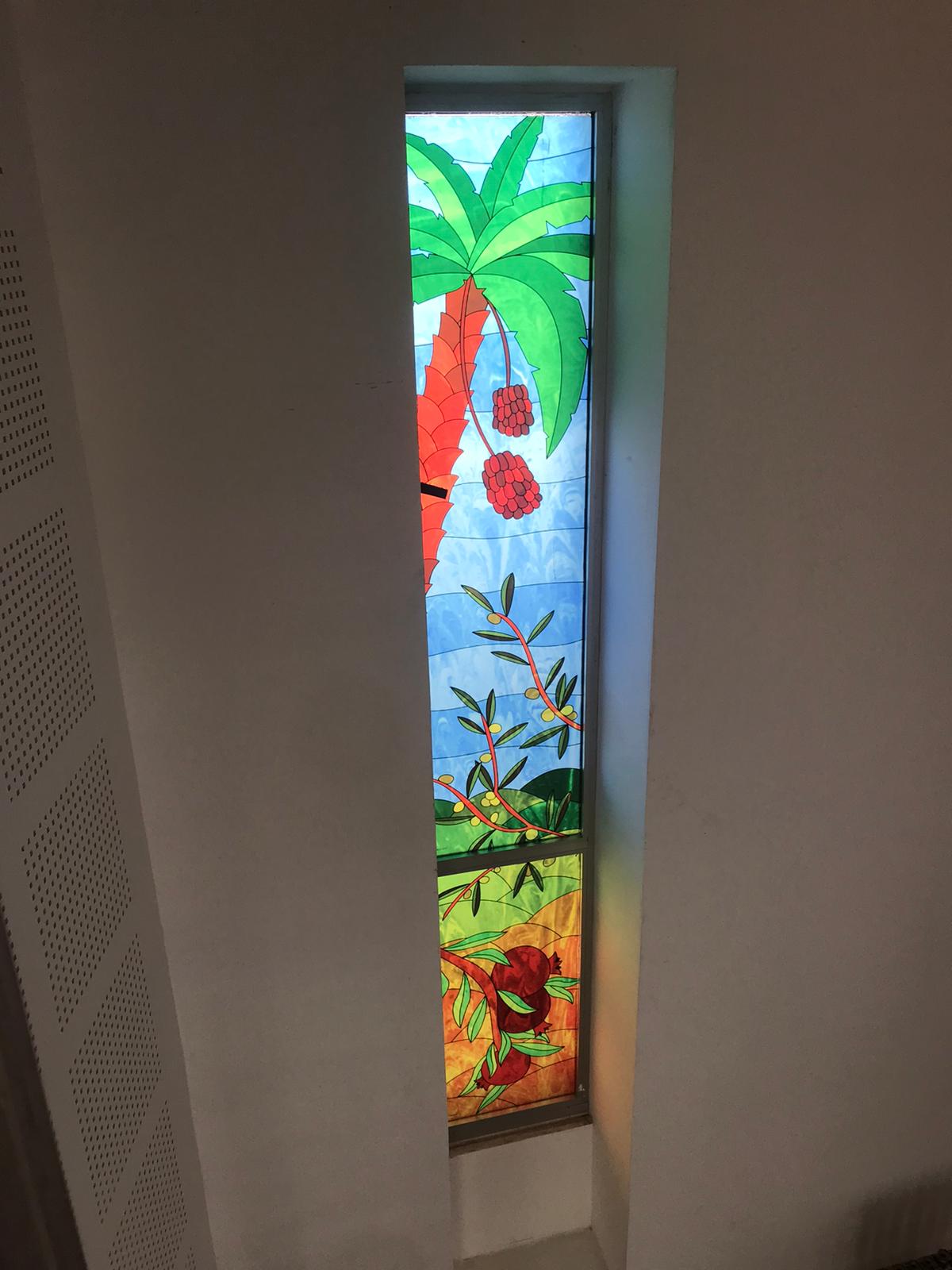 איור ויטראז' 7 המינים