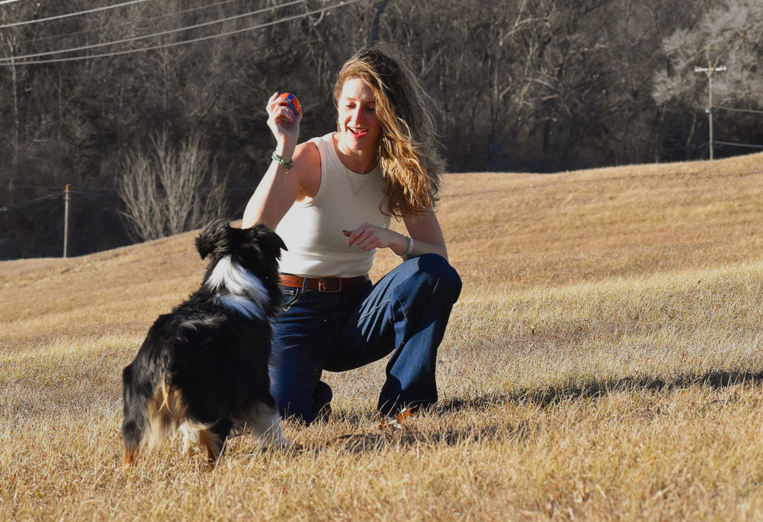 A woman is standing next to three dogs on a sidewalk.
