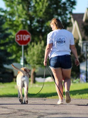 A woman is walking a dog on a leash.