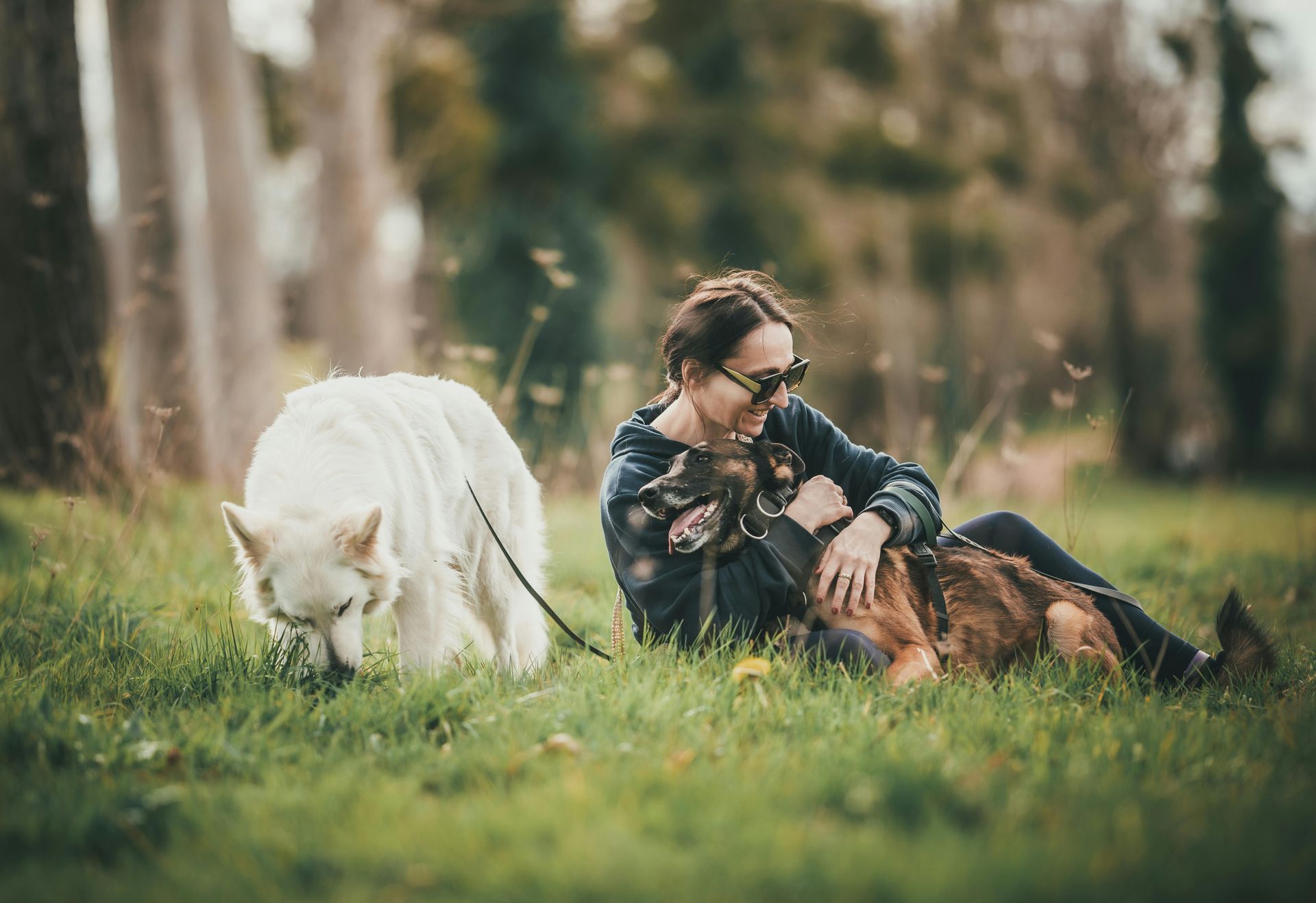 A woman is laying in the grass with two dogs.