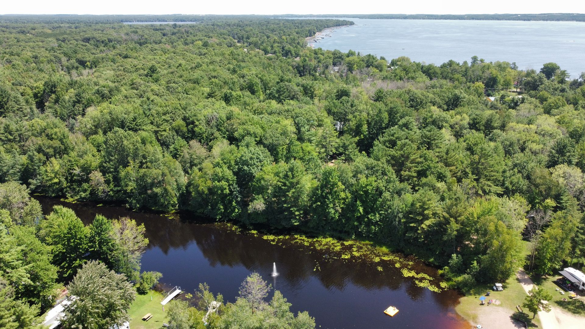 An aerial view of a lake surrounded by trees.