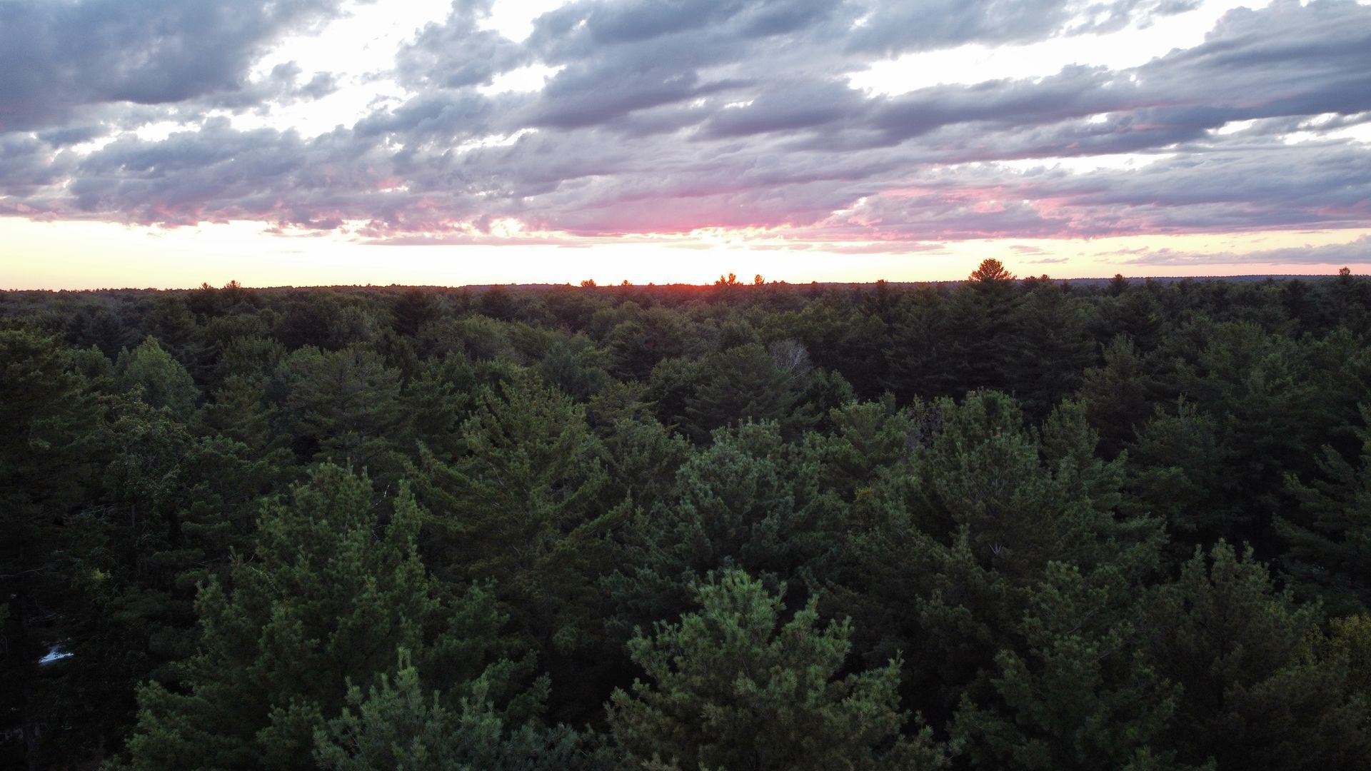 An aerial view of a forest with a sunset in the background