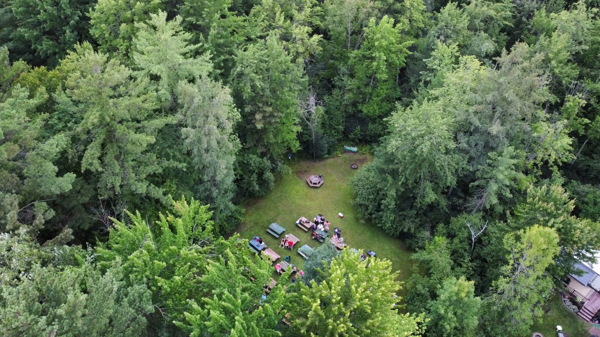 An aerial view of a group of people sitting around a fire pit in the middle of a forest.