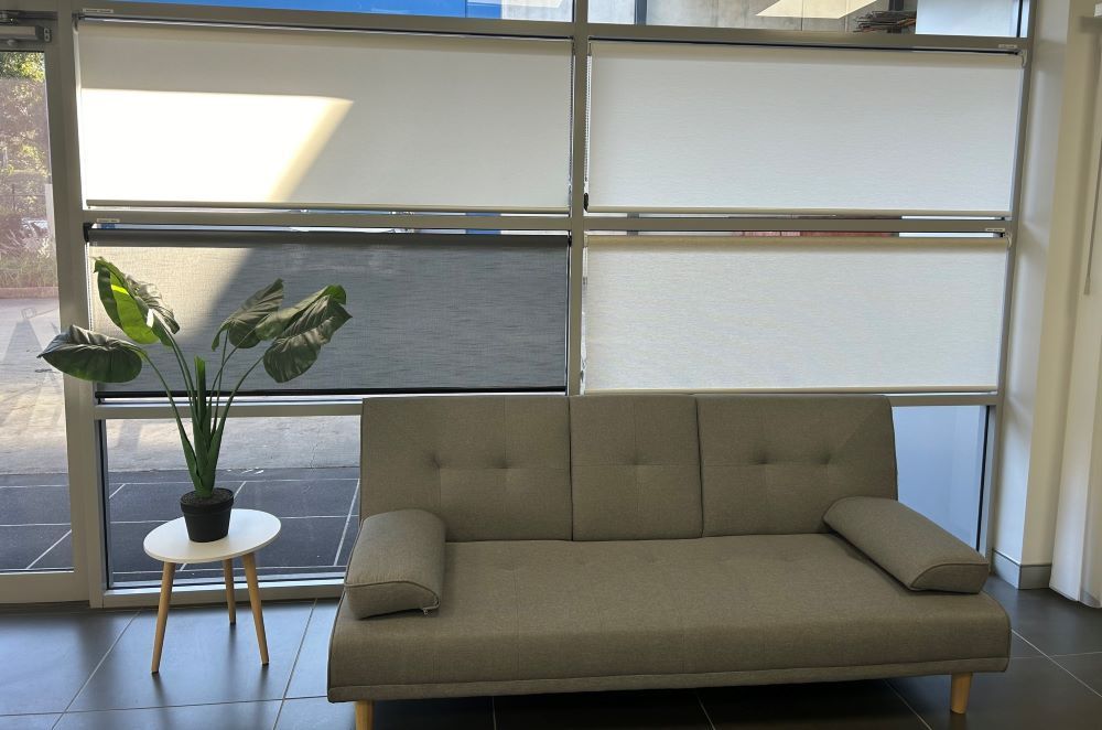 Room With A Couch And A Plant In Front Of A Window With Binds — Maxview Blinds and Shutters in Hunter Valley, NSW