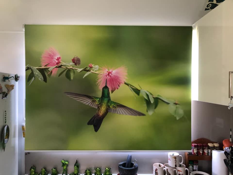 A Window Blind Featuring A Hummingbird Design — Maxview Blinds and Shutters in Beresfield, NSW