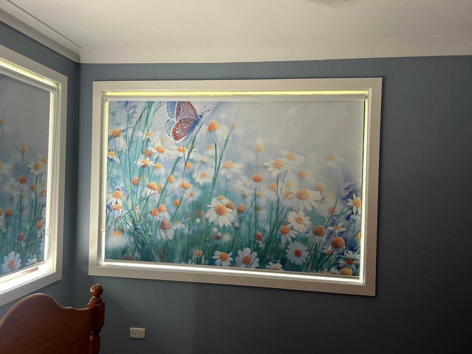 Two Window Blinds With Butterfly Design — Maxview Blinds and Shutters in Beresfield, NSW