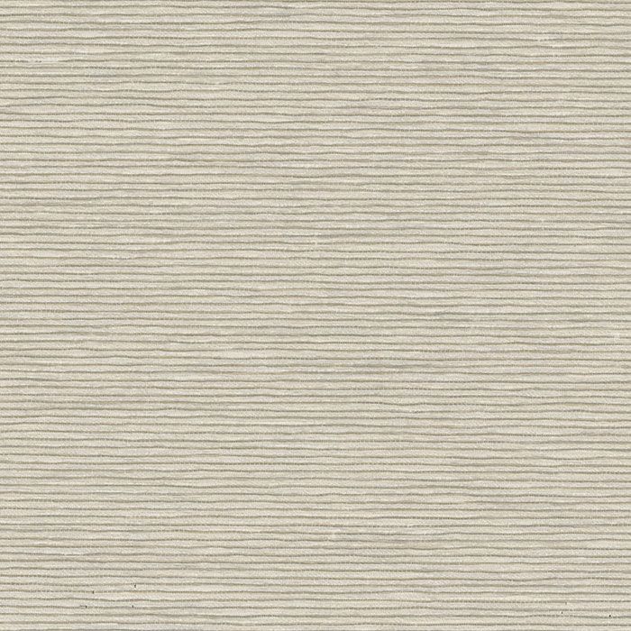 Balmoral Light Filtering Birch — Maxview Blinds and Shutters in Beresfield, NSW