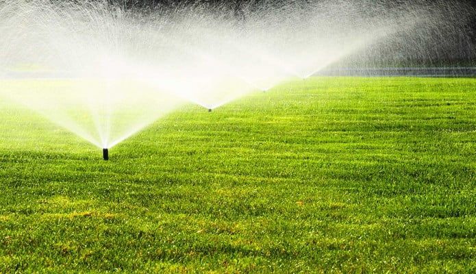 A sprinkler is spraying water on a lush green field.