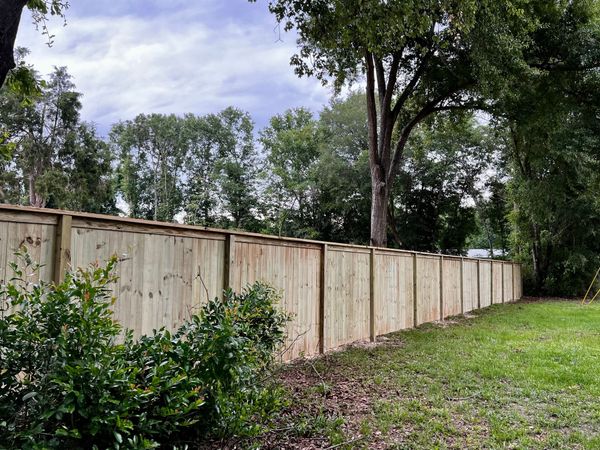 A wooden fence surrounds a lush green field with trees in the background.