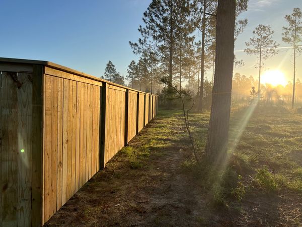 The sun is shining through the trees behind a wooden fence.