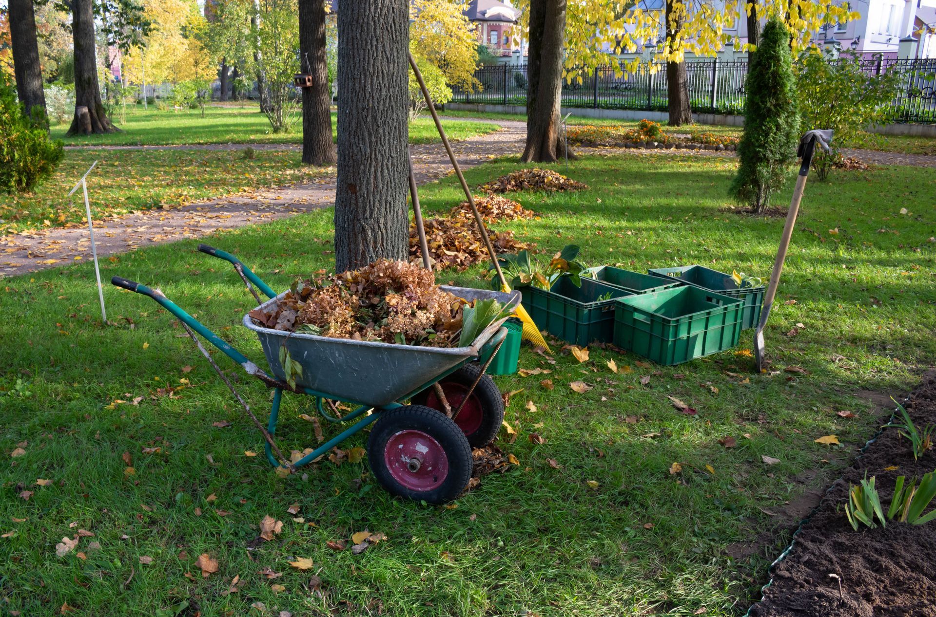 Wheelbarrow filled with leaves; green bins and rake on a grassy lawn in autumn.