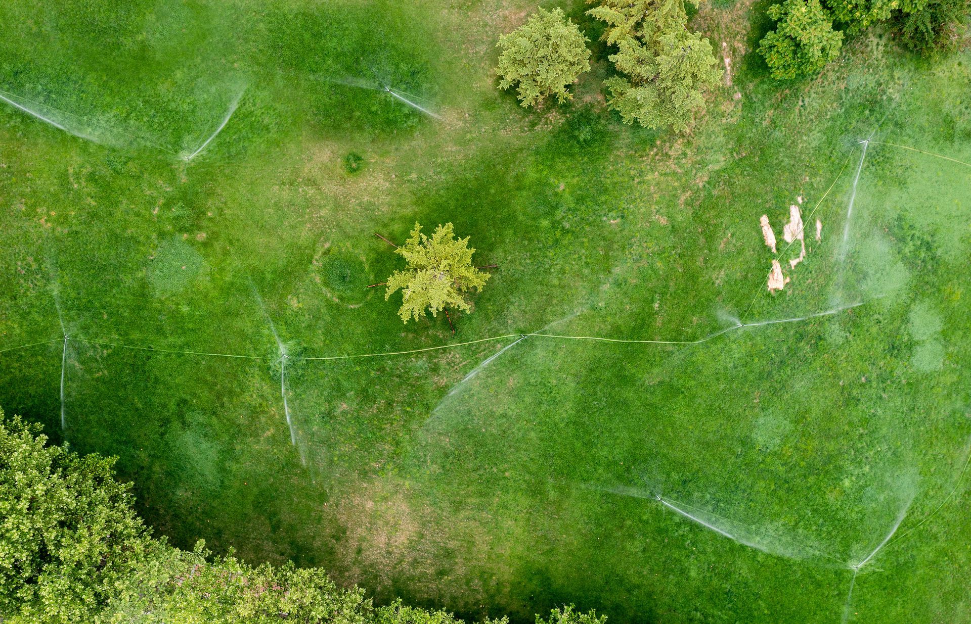 Overhead view of a green lawn with sprinklers watering the grass, a small tree, and some other trees.