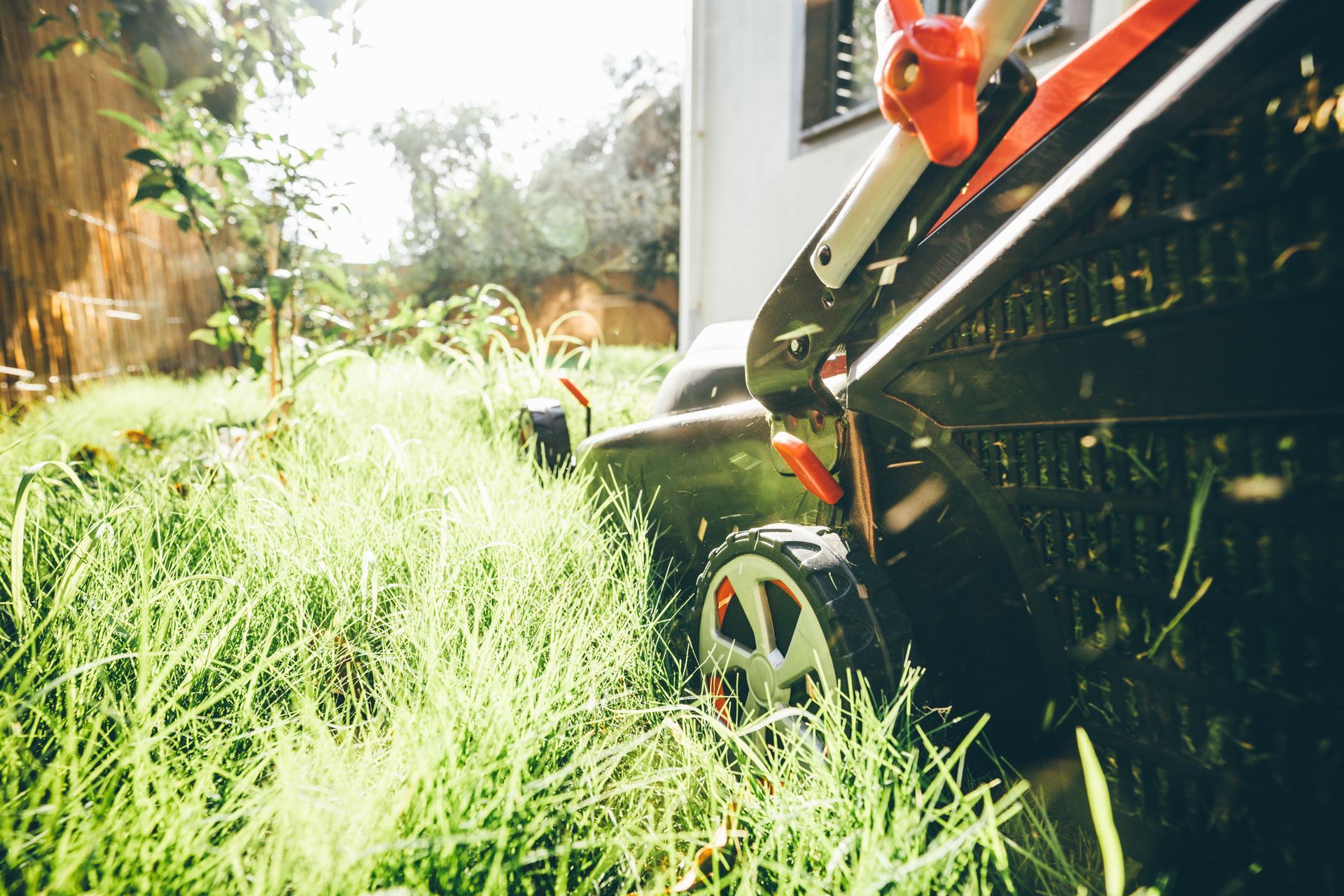 Lawnmower in tall grass next to a building and fence; sunny day.