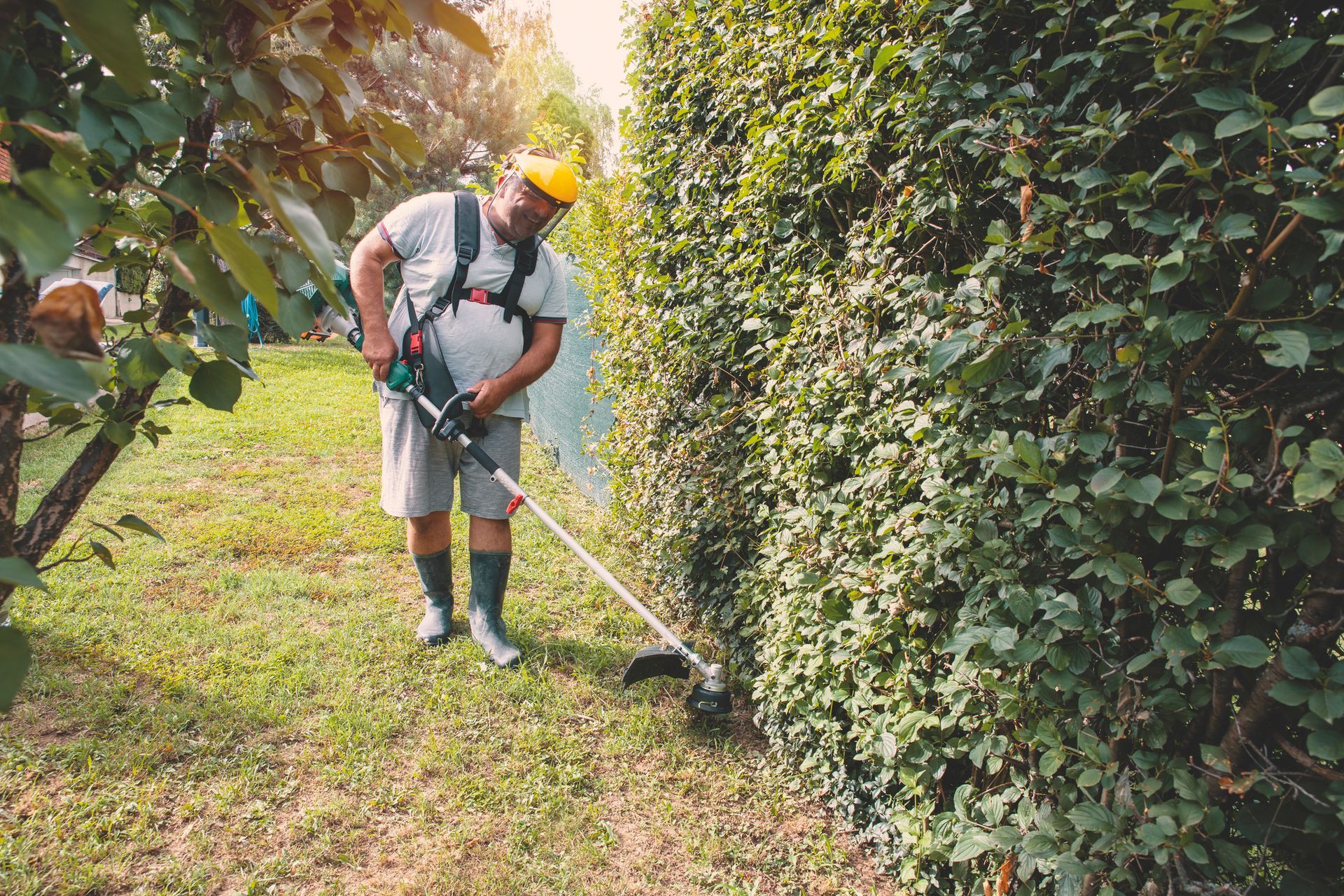 Man trimming a hedge with a weed whacker, wearing shorts, boots, and a hard hat in a sunny yard.