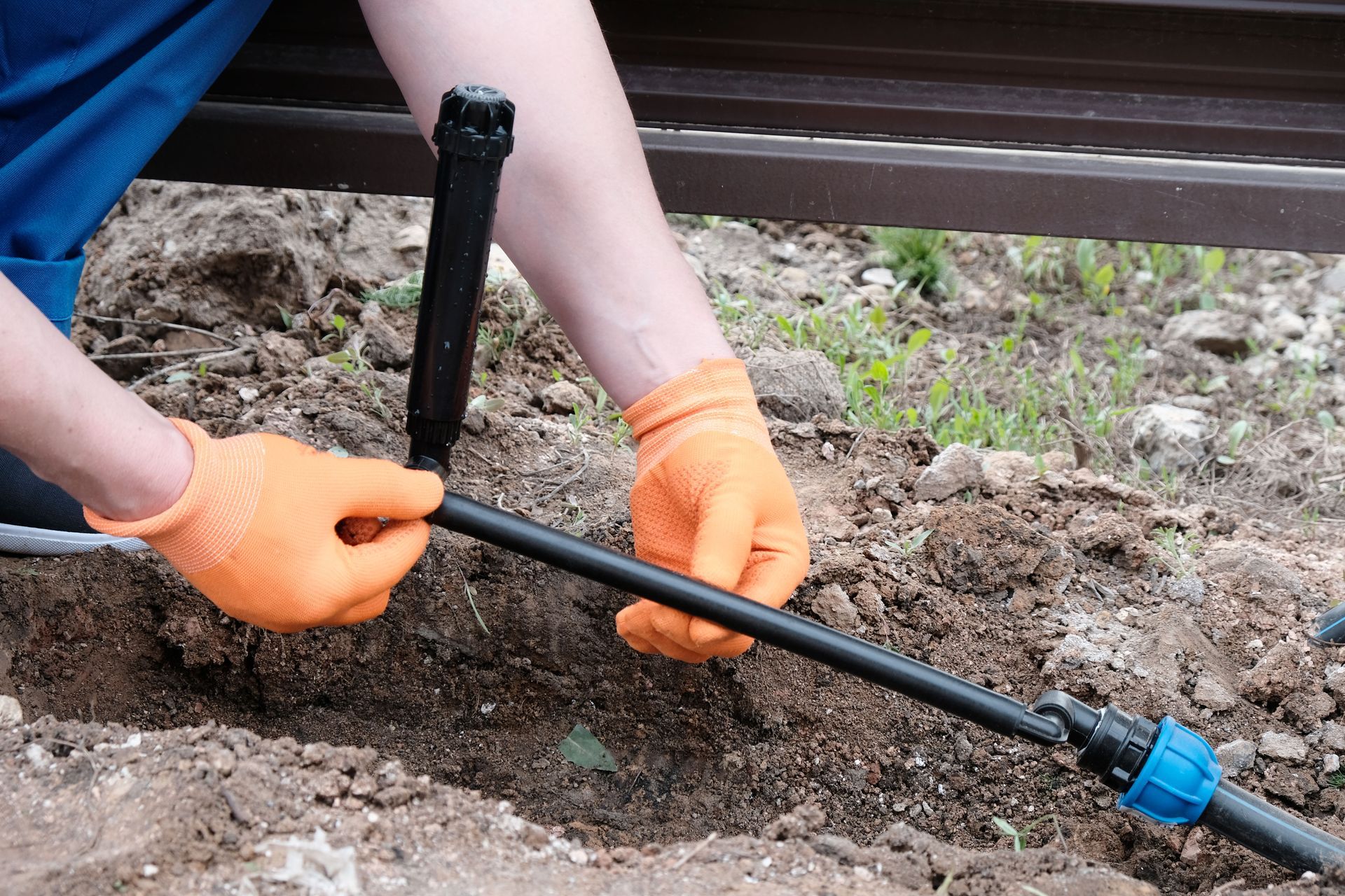 Person in orange gloves connecting black irrigation tubing in a garden setting.