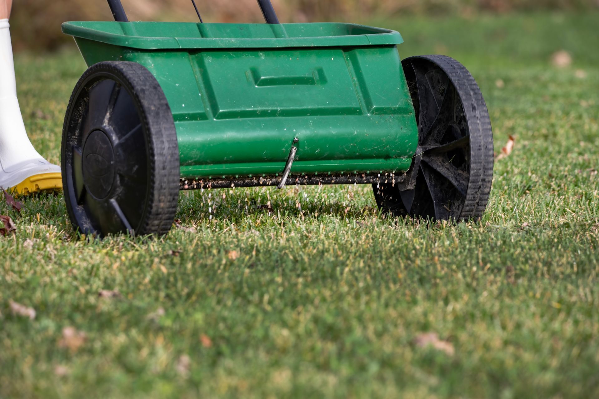 Green lawn spreader on grass, with a person's leg and foot visible.