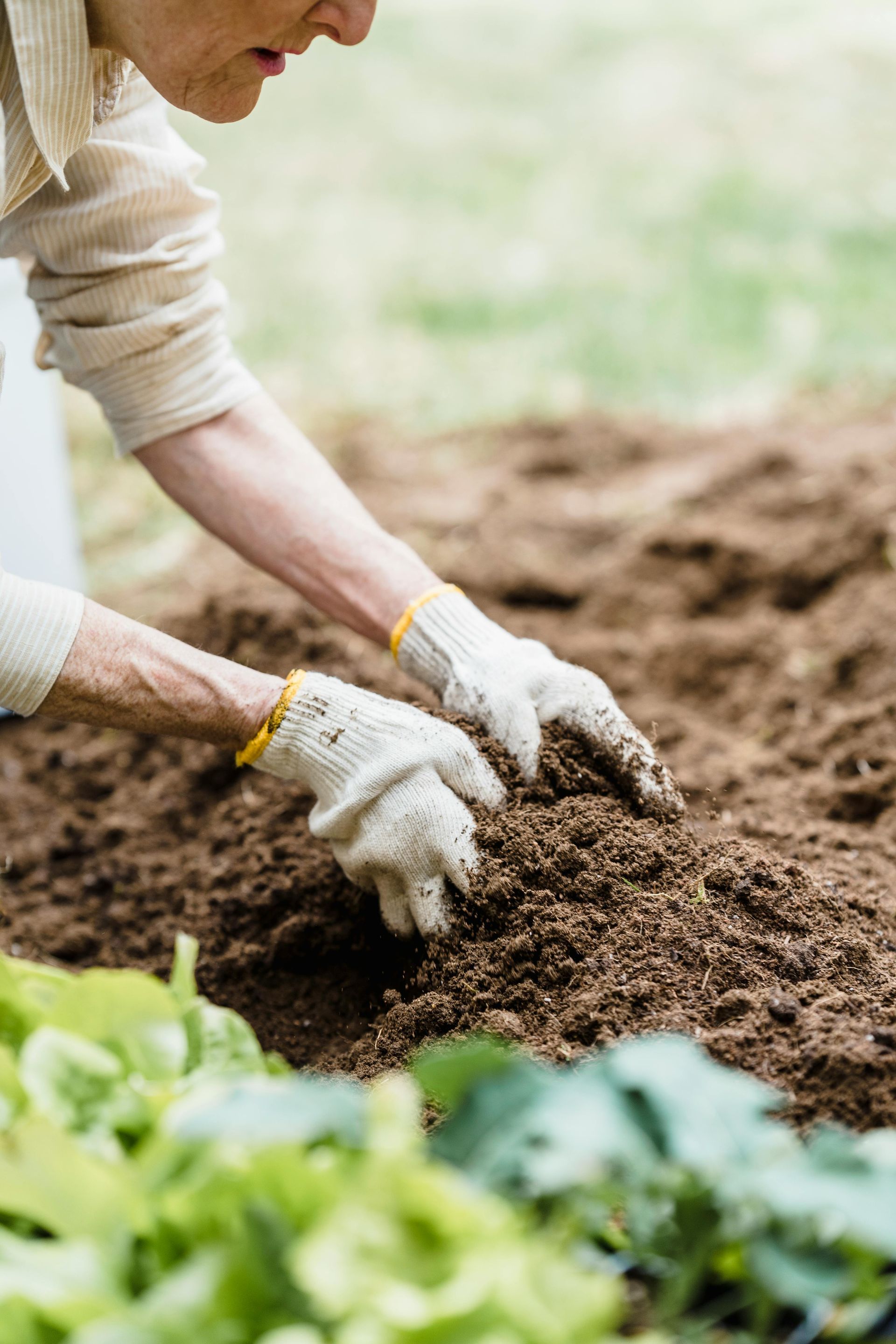 Person wearing gloves tending soil in a garden.