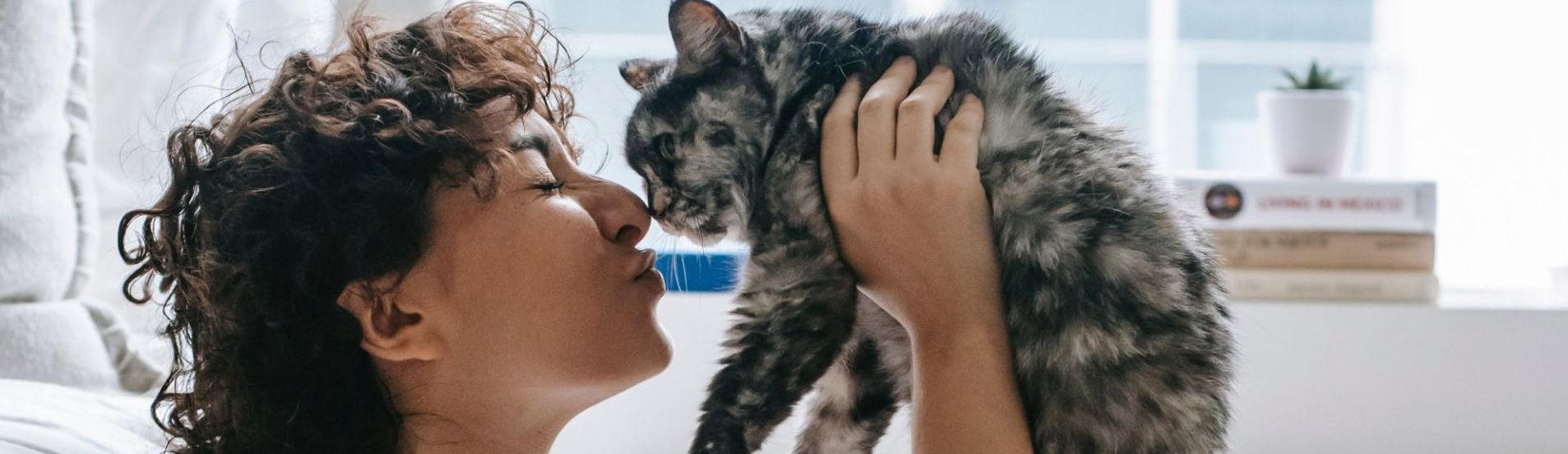 A woman is kissing a cat on the nose.