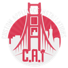 CAI Logo