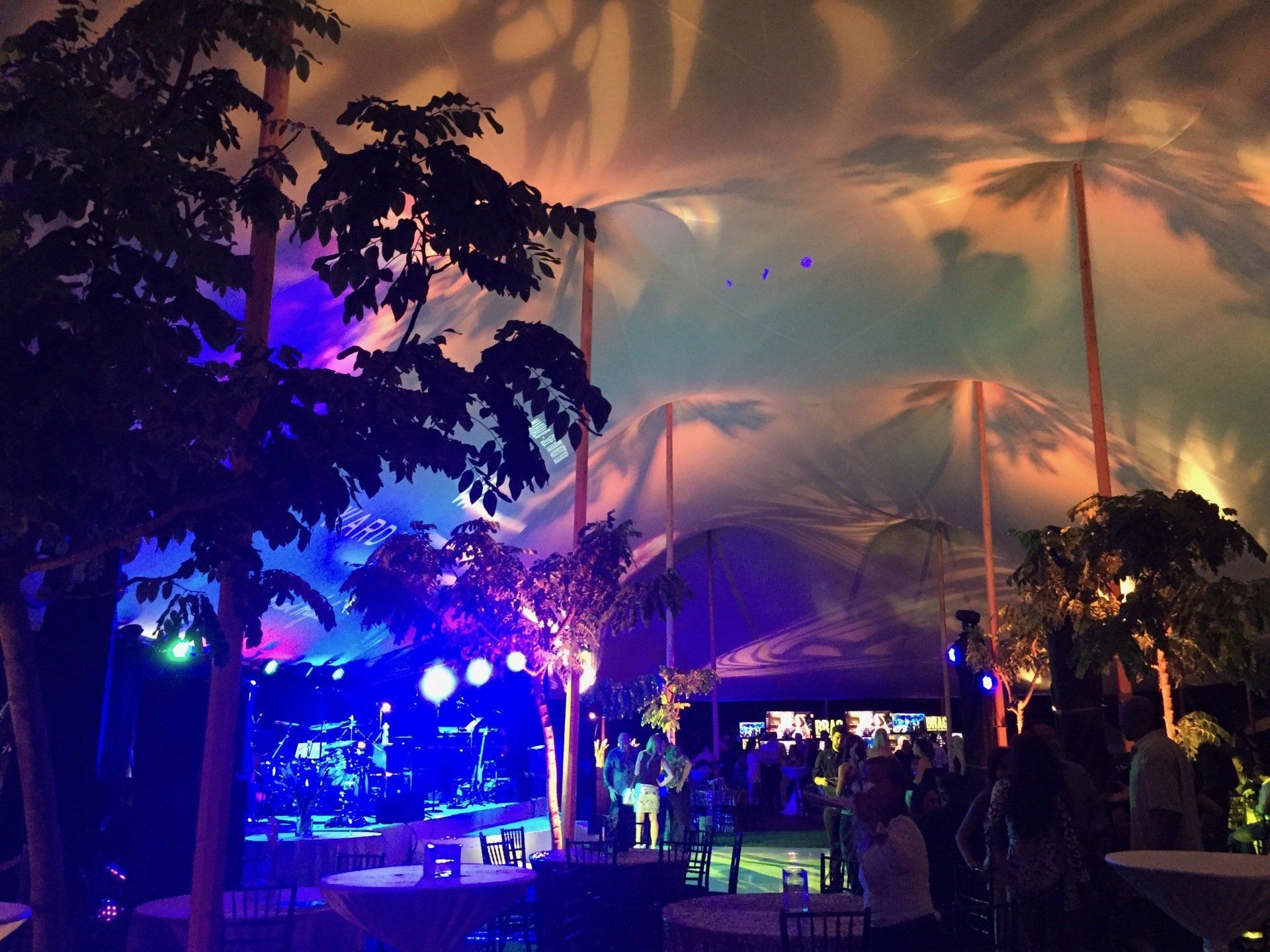 Eggshell Lighting solutions