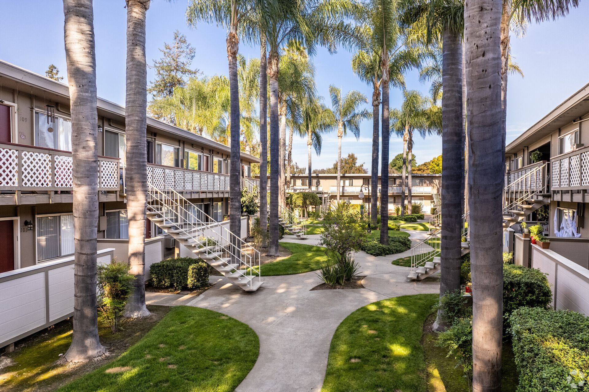 There are many palm trees in the middle of a courtyard between two buildings.