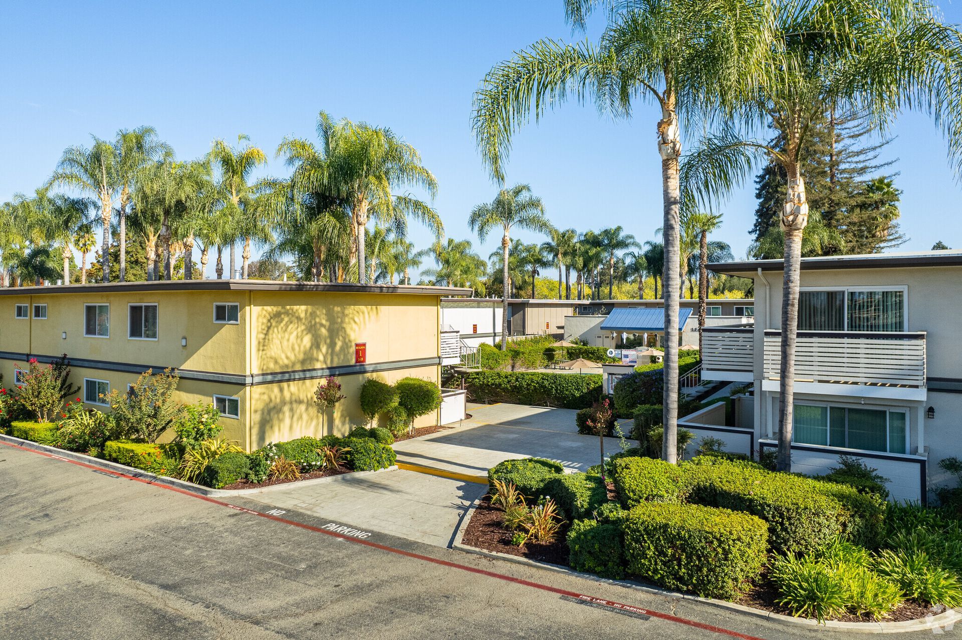 A row of apartment buildings with palm trees in front of them
