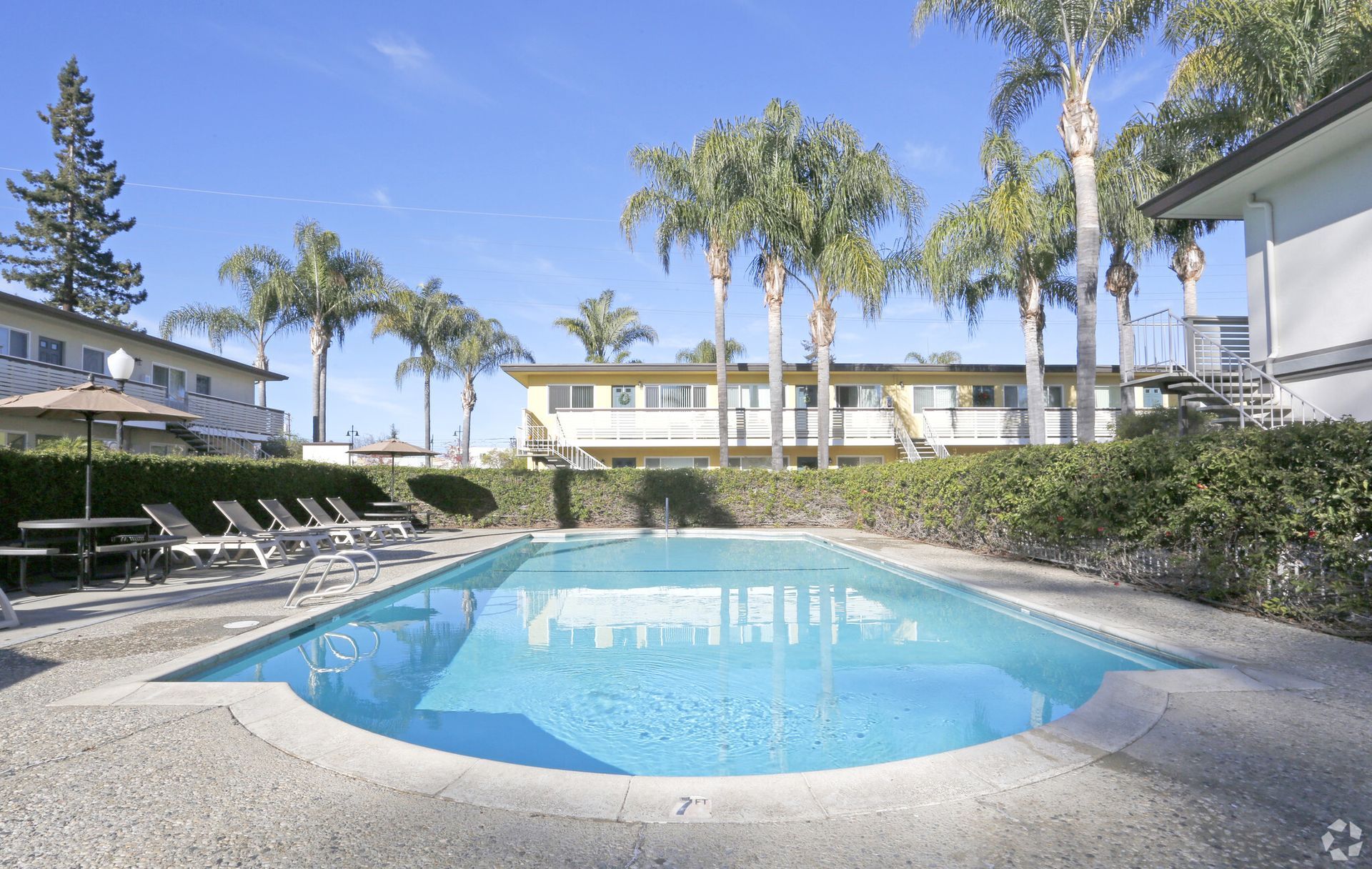A large swimming pool with palm trees in the background