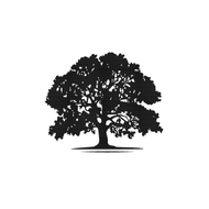 A white background with a few lines on it