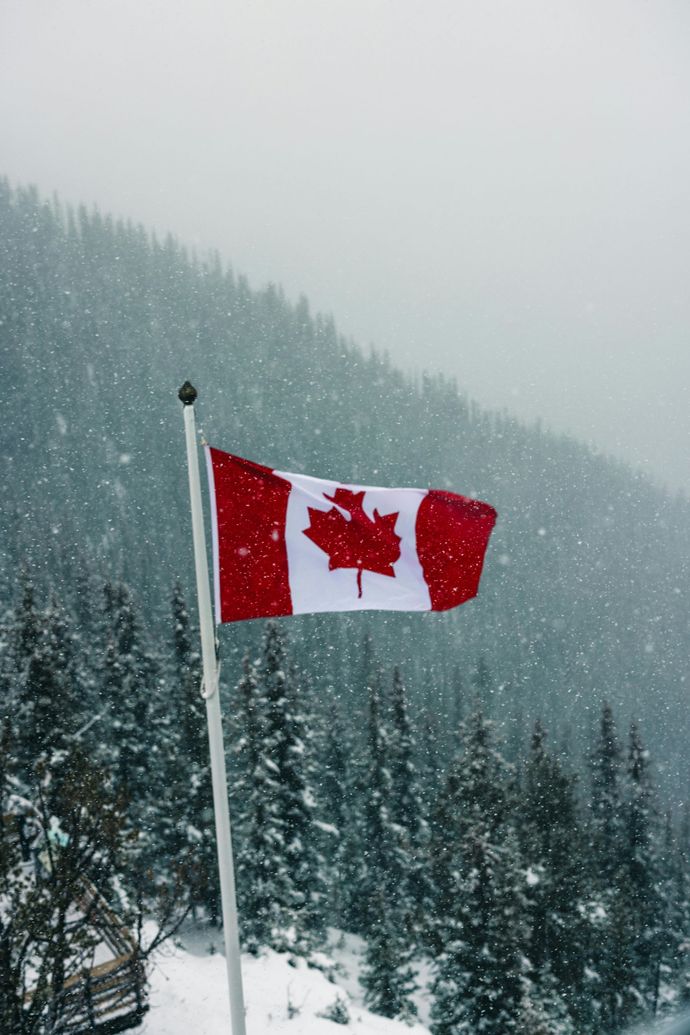 pemberton land clearing snowy canadian flag