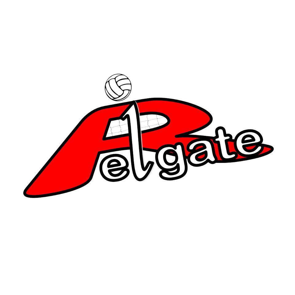 Reigate VC Logo