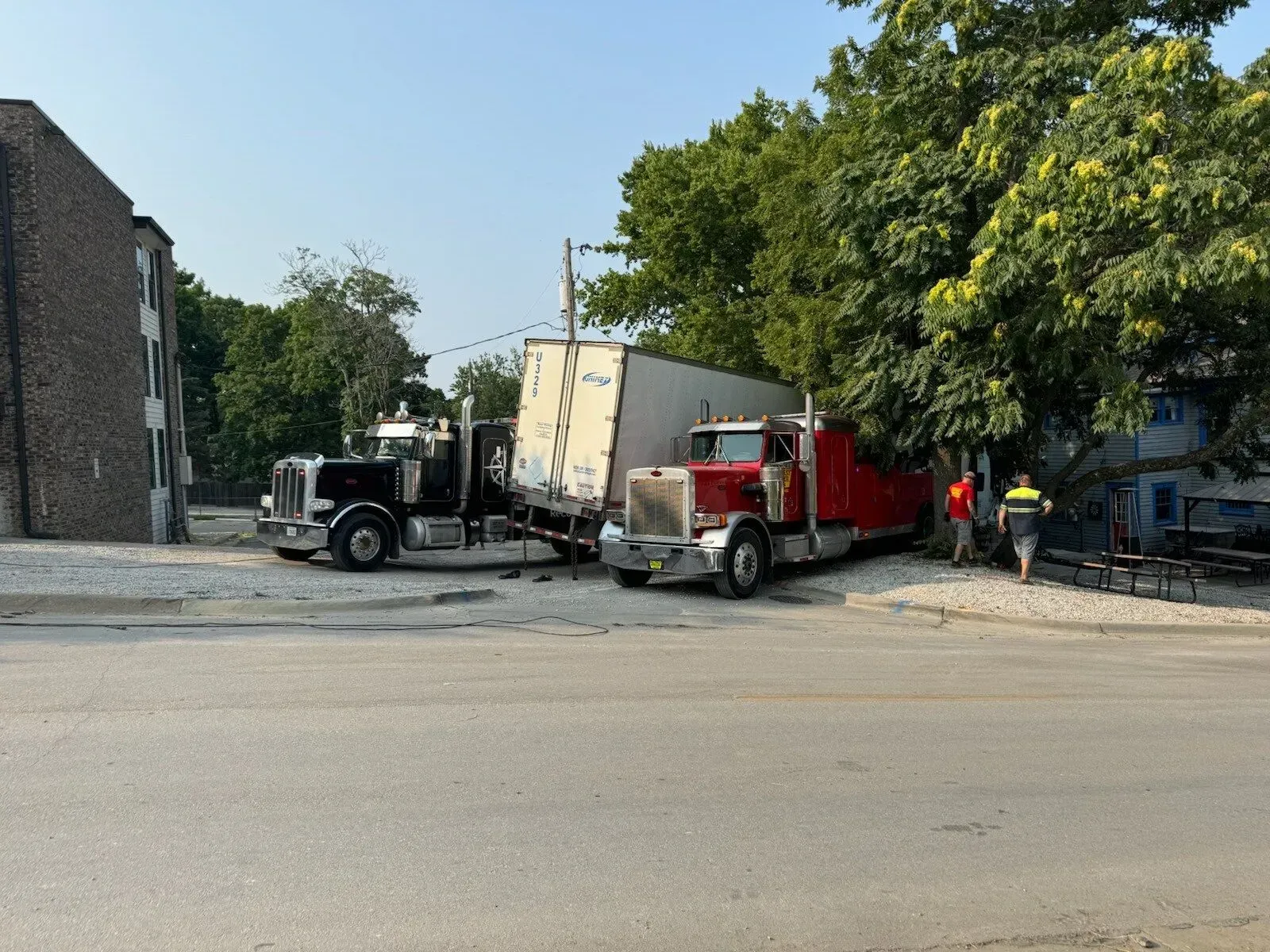 A black semi-truck and a red semi-truck are parked or stuck near a tree in a sunny, outdoor lot next to a brick building.