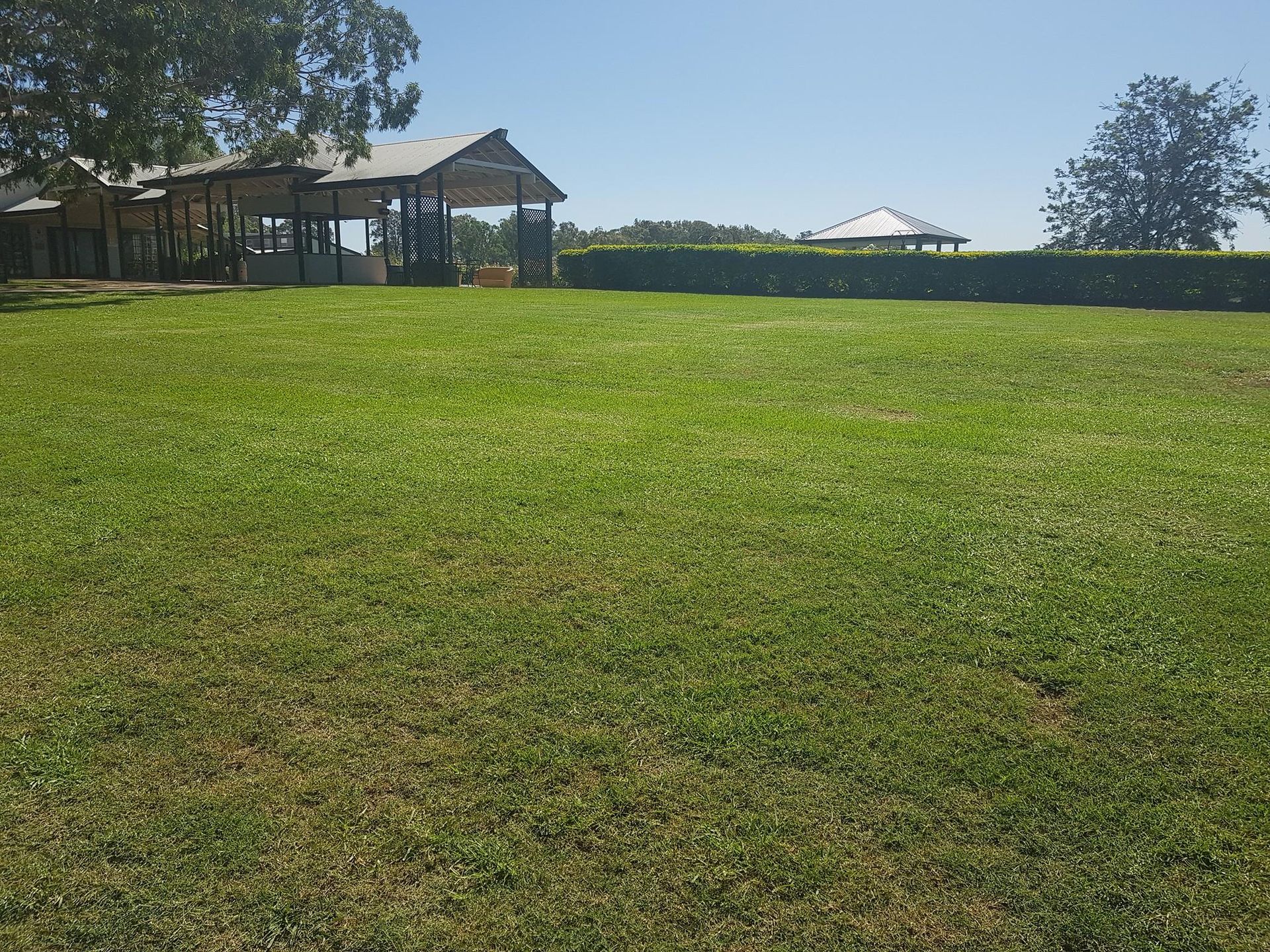 large property maintenance Hedges— Gardeners In Pokolbin, NSW