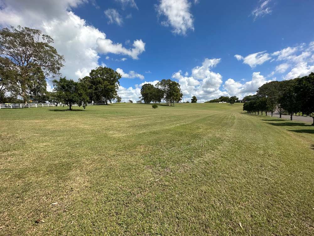 Open Area With Trees — Gardeners In Branxton, NSW