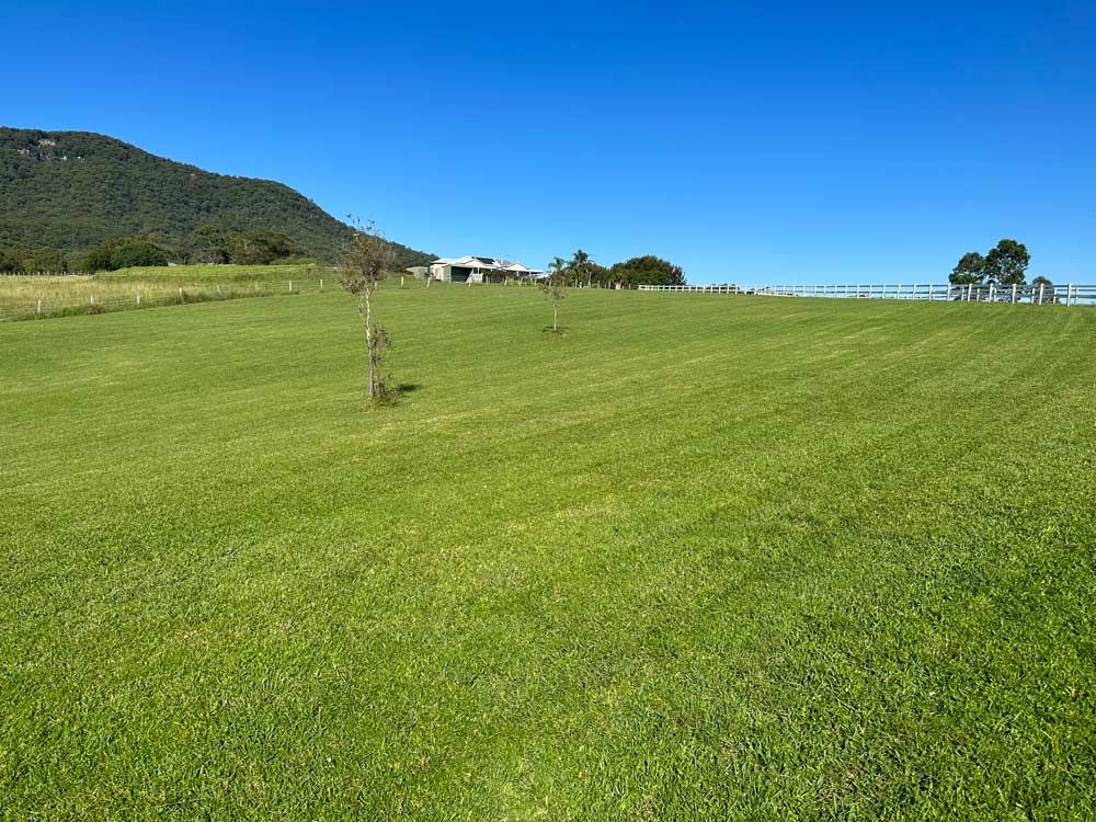 Green Grass In Open Field — Gardeners In Paterson, NSW