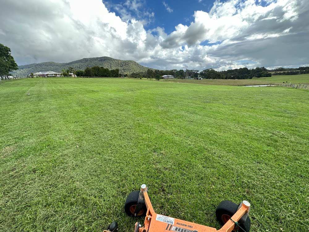 Open Area With Green Grass — Gardeners In Pokolbin, NSW
