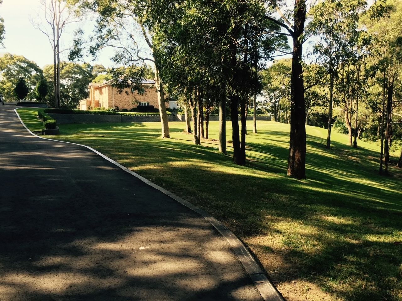 vineyard maintenance — Gardeners In Pokolbin, NSW