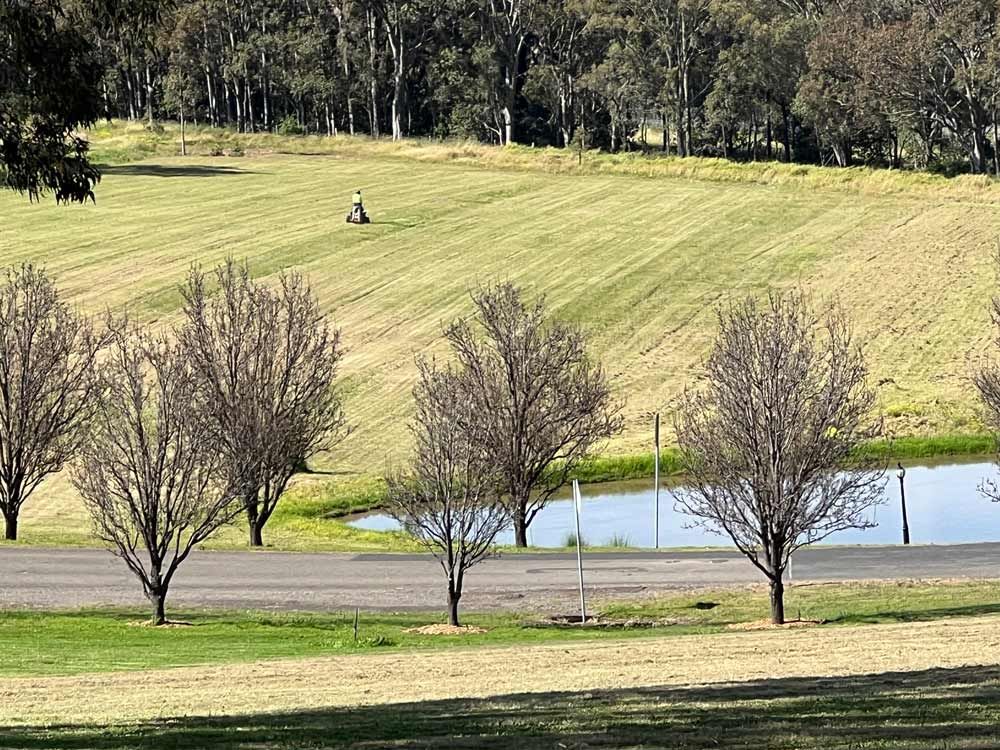 Large Field getting Mowed with a Ride on Mower — Gardeners In Pokolbin, NSW