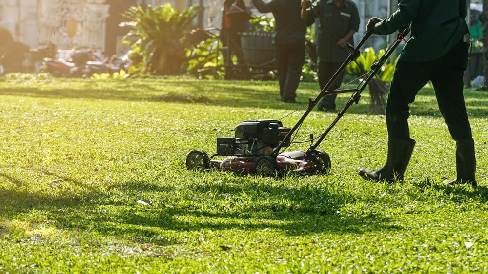 Worker Cutting Grass In The Park By The Lawn Mower — Gardeners In Paterson, NSW