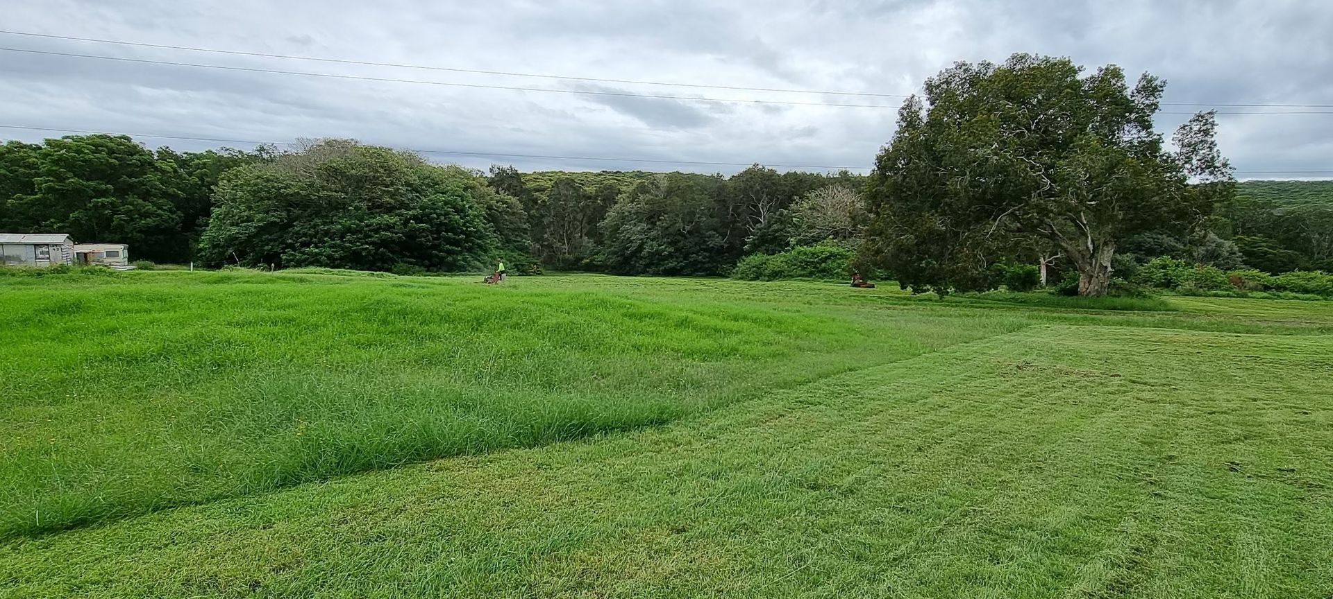 Man Mowing Green Grass Using Brush Cutter Mower — Gardeners In Pokolbin, NSW