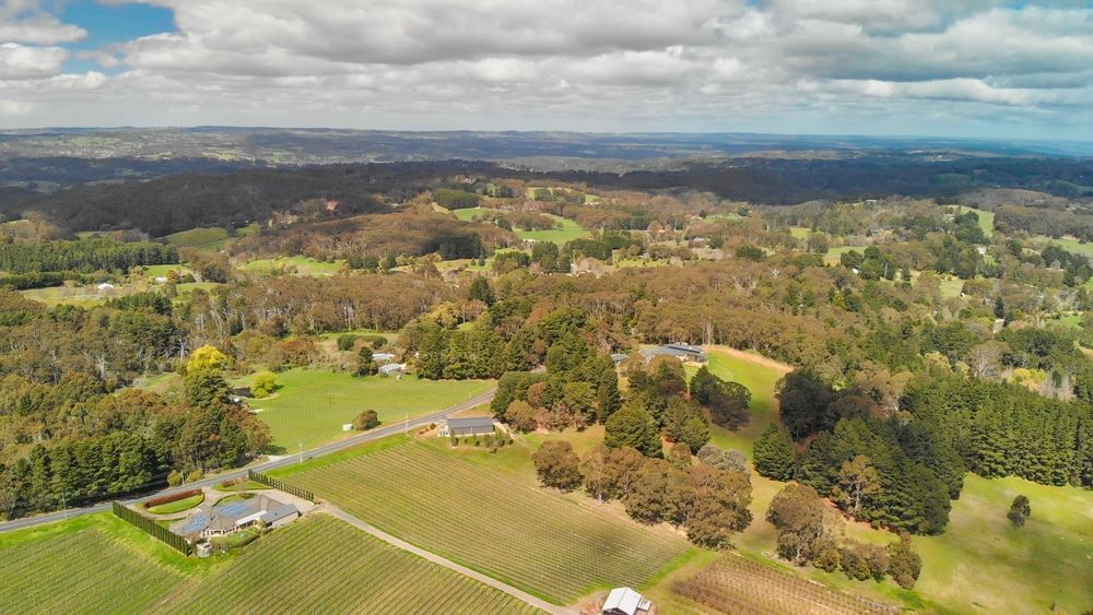 Aerial View Of Broke — Gardeners In Broke, NSW