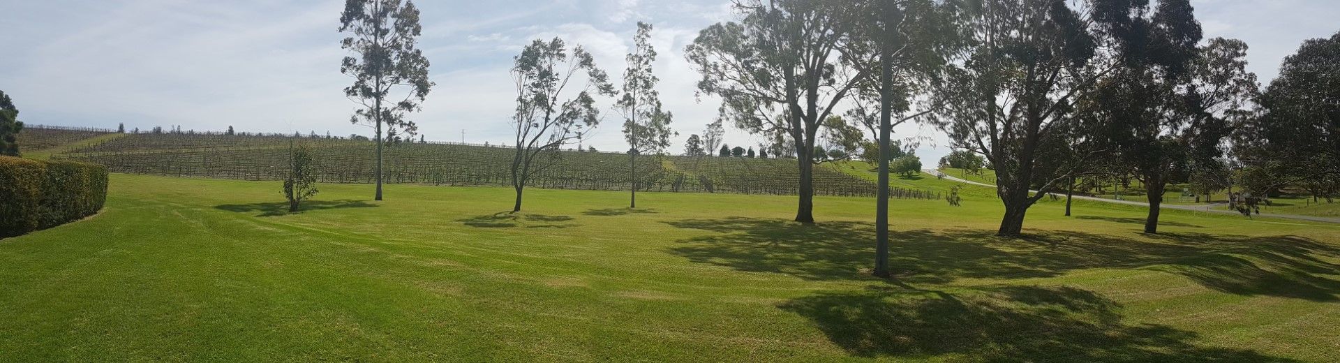 vineyard mowed — Gardeners In Pokolbin, NSW