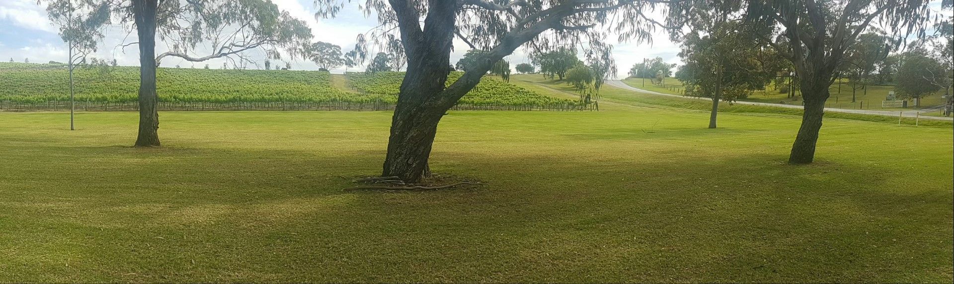 maintenance of large properties vineyard — Gardeners In Pokolbin, NSW