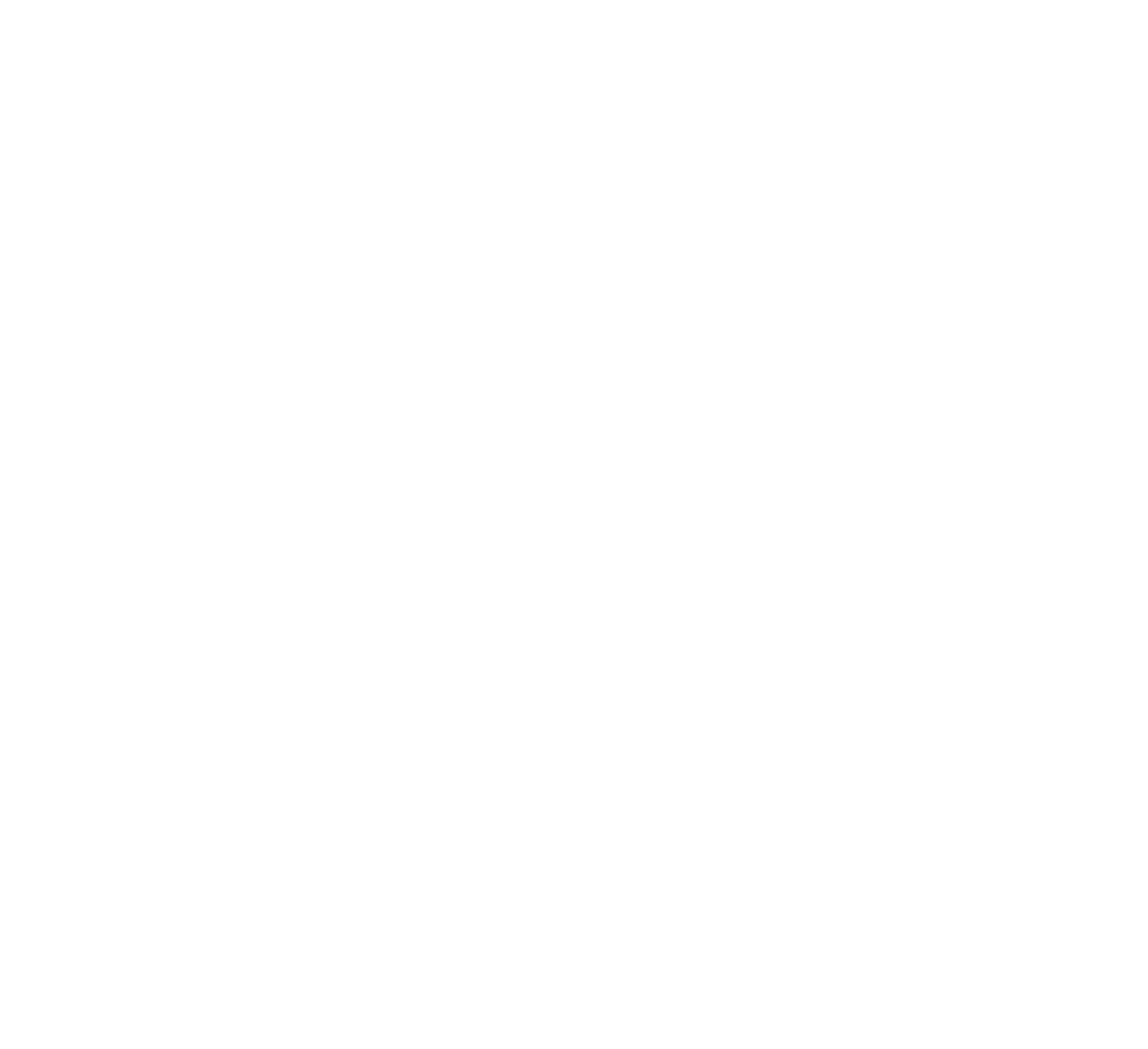 River white logo