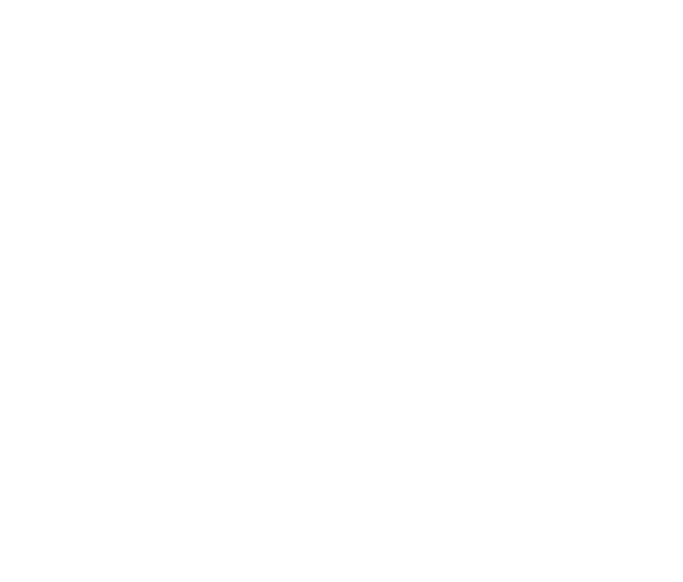River white logo