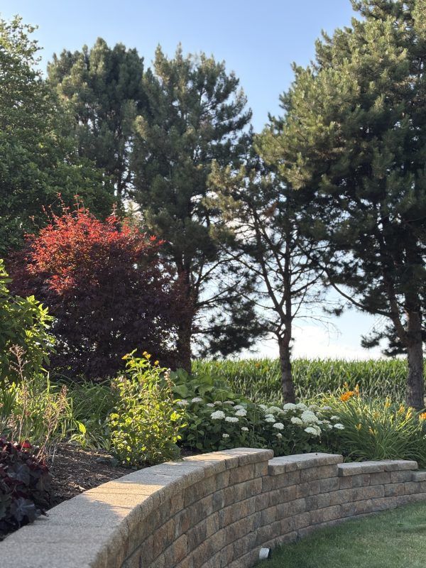Landscaped garden with tiered stone wall, trees, and colorful shrubs under a clear sky.
