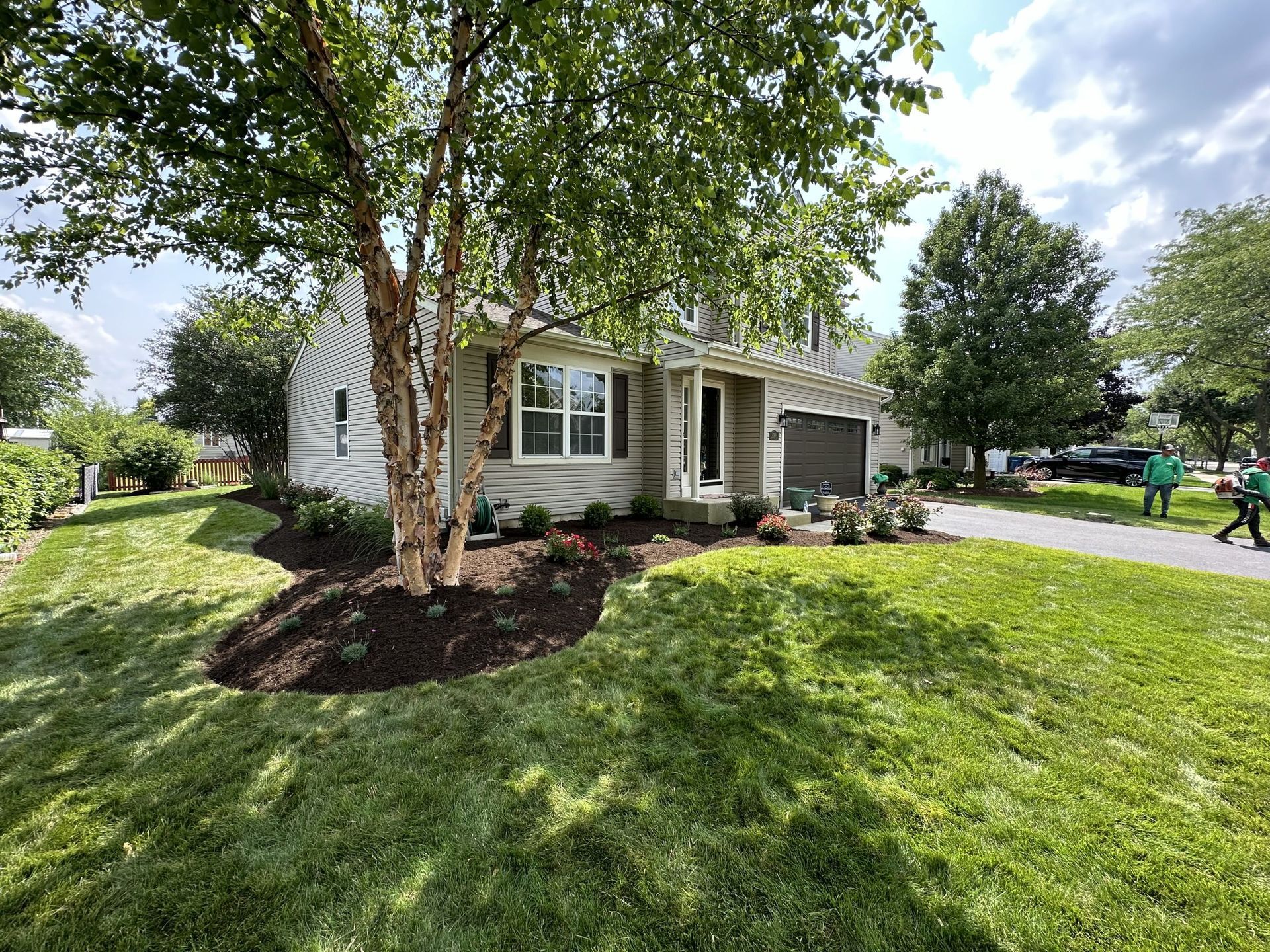 House with freshly landscaped yard, birch tree in front. Green grass, mulch, and flowers.