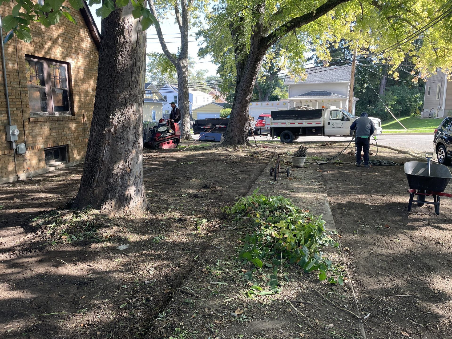Workers clearing debris from yard with trees, truck, and wheelbarrow.