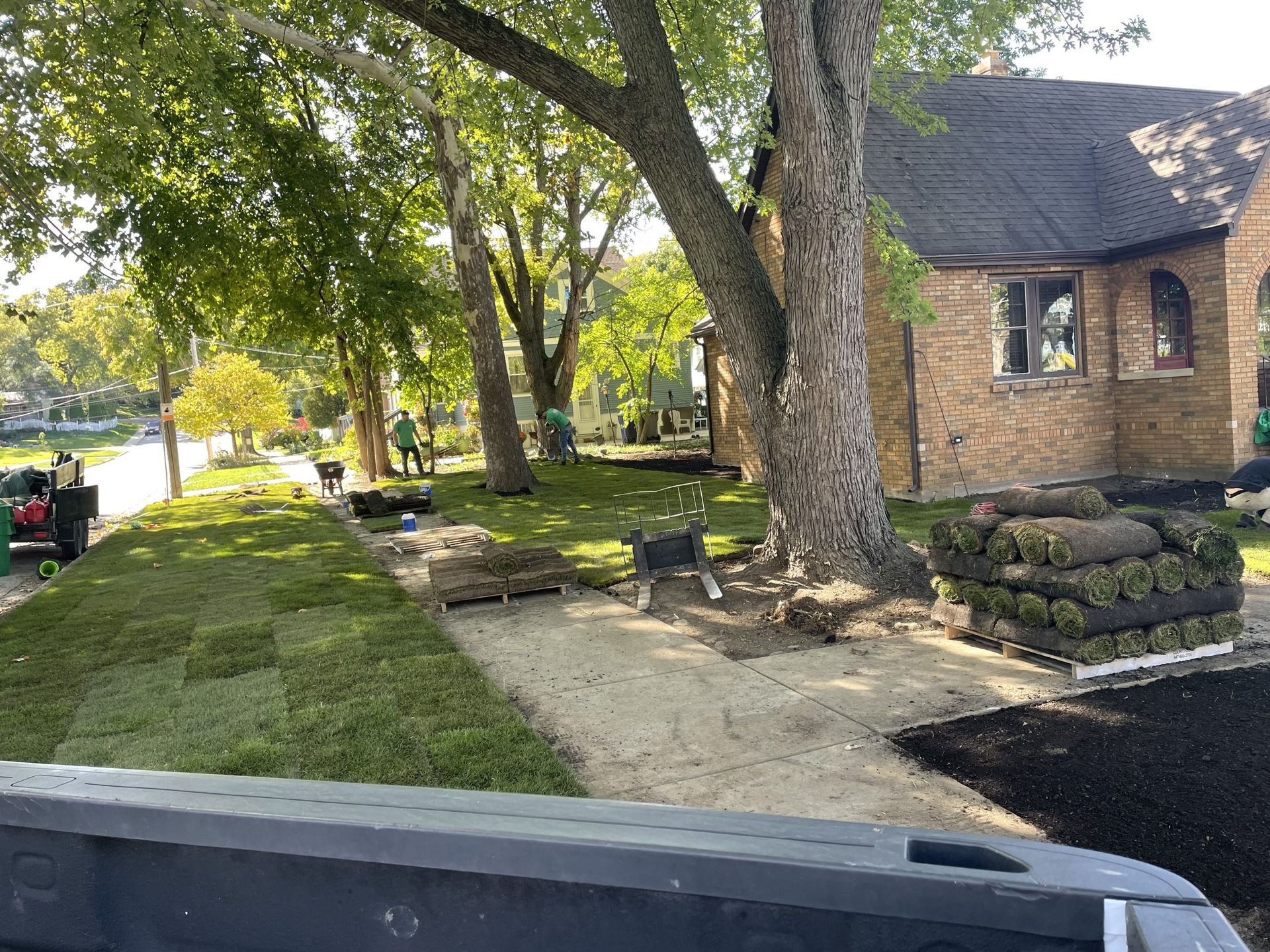Laying new sod in a front yard. Rolls of turf sit by a brick house, while a crew preps the ground near trees.